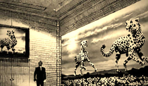 The Bullish Blind Spot: Why Rate Hikes and AI FOMO Are Setting Up a Narrative Correction The Bullish Blind Spot: Why Rate Hikes and AI FOMO Are Setting Up a Narrative Correction