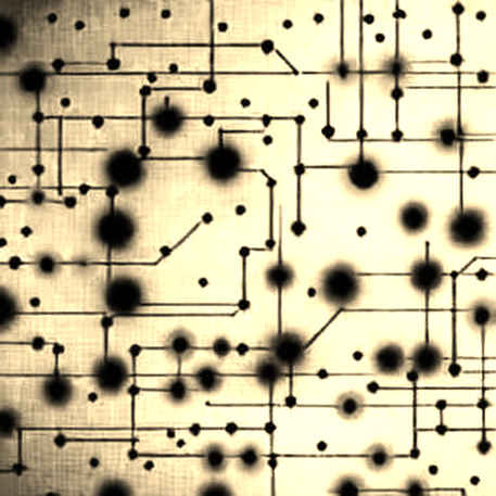 The Signal in the Void: When Crypto Projects Hide Their First Phase Data