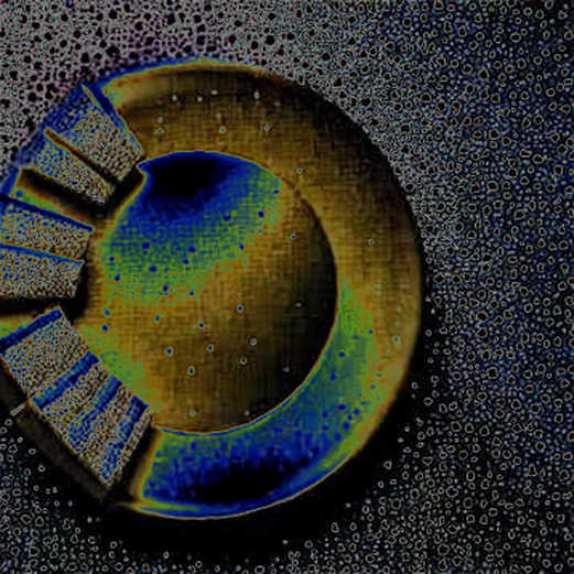 The Licensing Trap: How One DEX's 'Open Source' License Just Became a Smart Money Exit Signal The Licensing Trap: How One DEX's 'Open Source' License Just Became a Smart Money Exit Signal